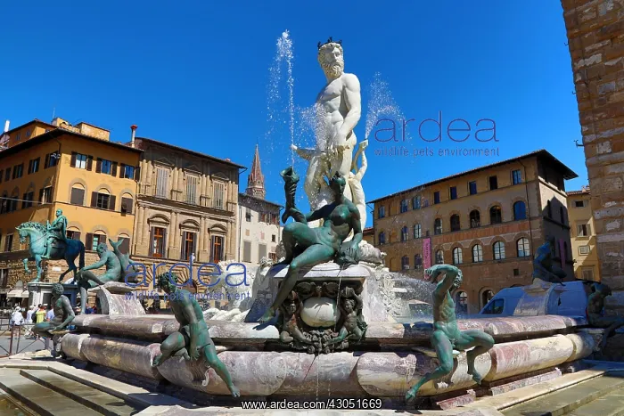 : Fountain of Neptune in the Piazza della Signoria : Fountain of Neptune in the Piazza della Signoria