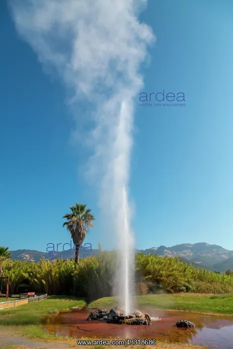 : Fountain of the Old Faithfull Geysir, Calistoga : Fountain of the Old Faithfull Geysir, Calistoga