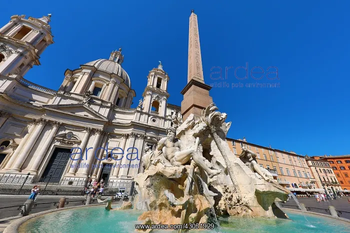 : Fountain of the Four Rivers and the Obelisk of Domitian : Fountain of the Four Rivers and the Obelisk of Domitian