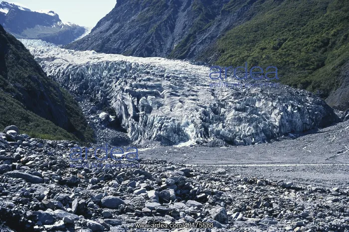 : Fox Glacier, New Zealand : Fox Glacier, New Zealand