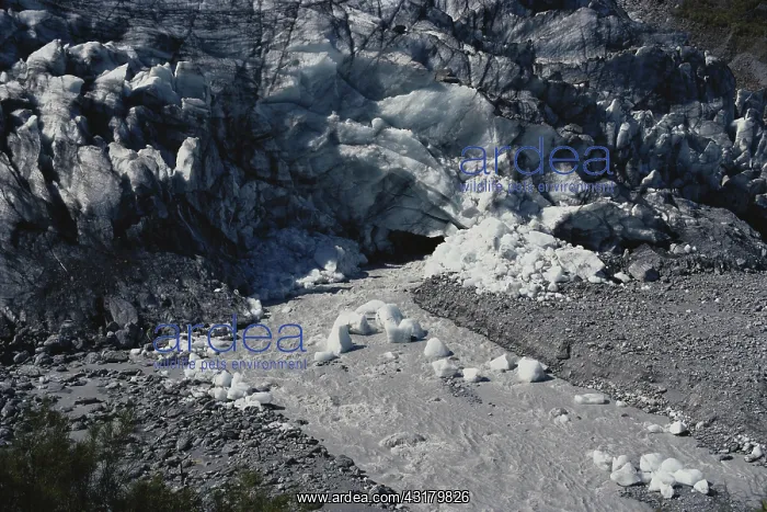 : Fox Glacier, New Zealand : Fox Glacier, New Zealand