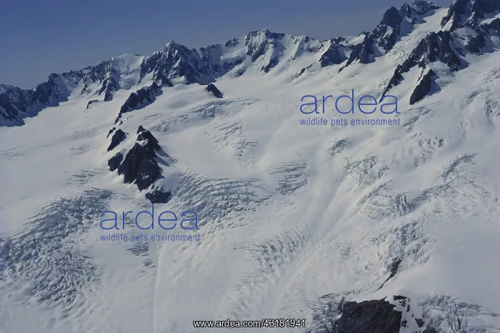 : Fox Glacier Snowfield : Fox Glacier Snowfield