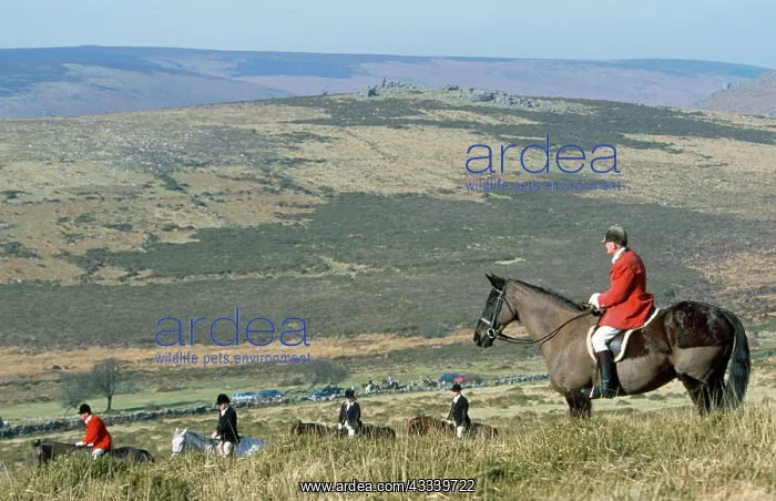  : FOX HUNTING