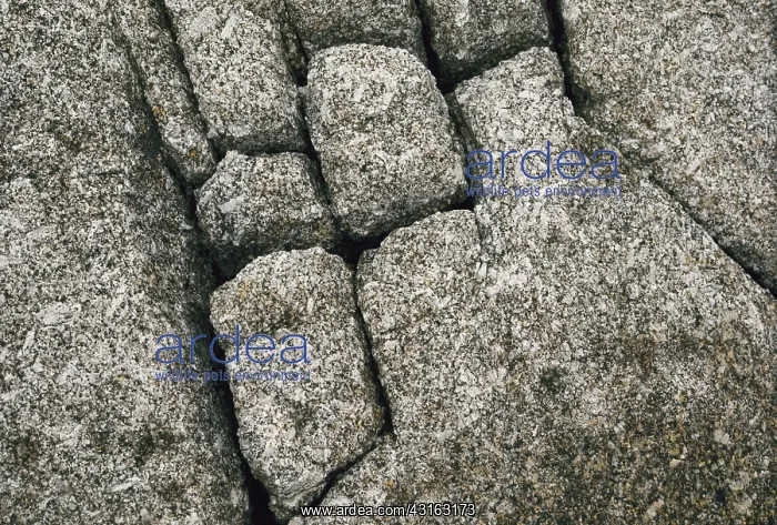 : Fractured Rock : Fractured Rock