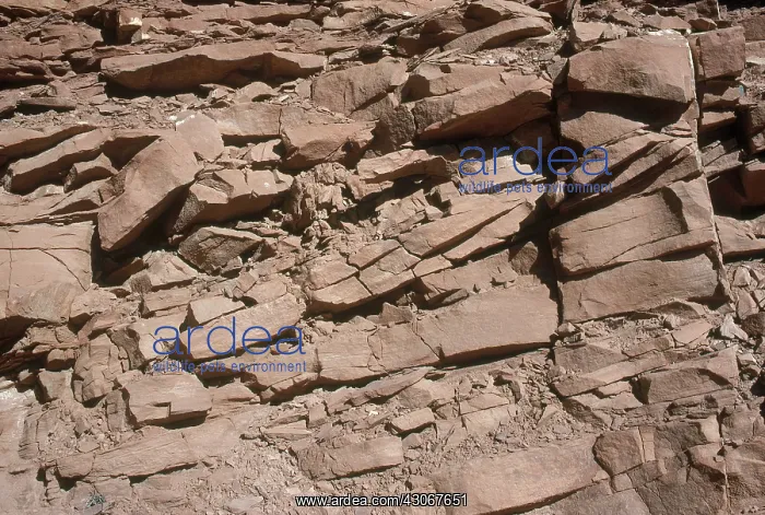 : Fractured Sandstone : Fractured Sandstone