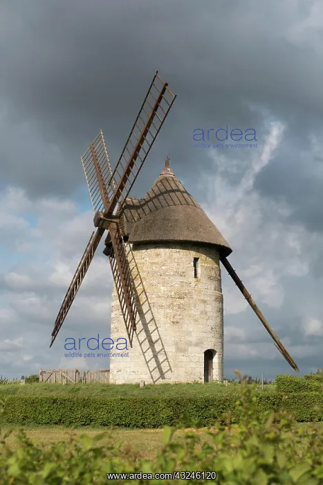 : France - 15 August 2019: vertical view of the historic : France - 15 August 2019: vertical view of the historic