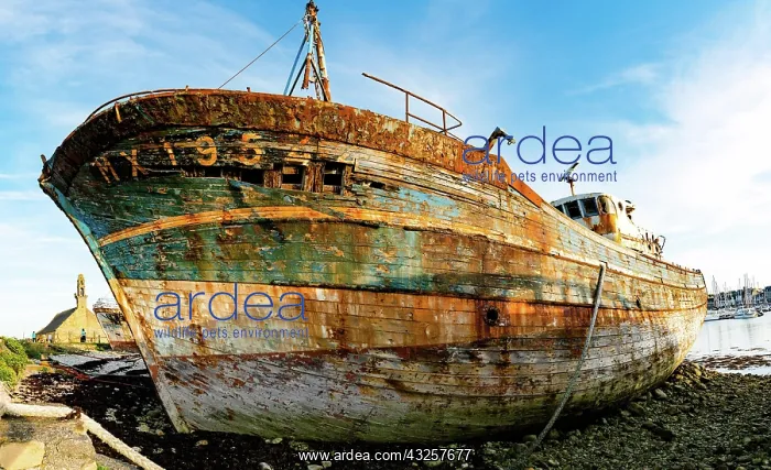 : France - 22 August 2019: tourists visit the historic : France - 22 August 2019: tourists visit the historic