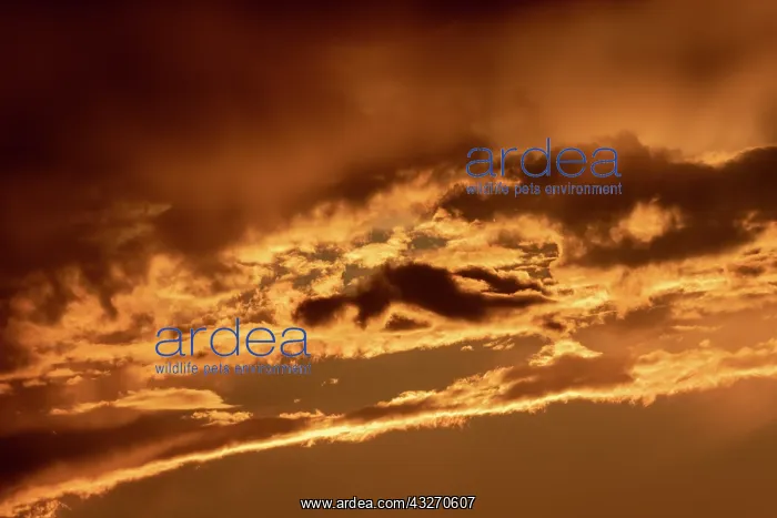 : France, Alsace, coucher de soleil, / / France, Alsace : France, Alsace, coucher de soleil, / / France, Alsace