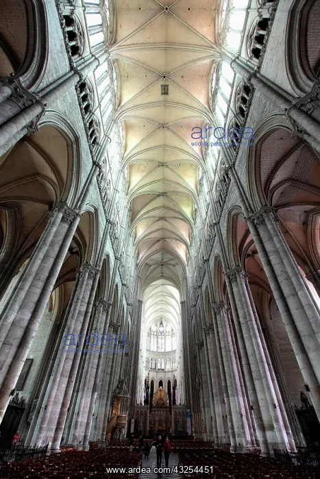 : France, Amiens, Nave of Amiens Cathedral : France, Amiens, Nave of Amiens Cathedral
