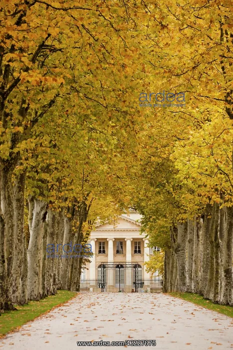 : France, Aquitaine Region, Gironde Department : France, Aquitaine Region, Gironde Department