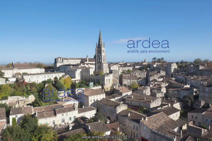 : France, Aquitaine Region, Gironde Department : France, Aquitaine Region, Gironde Department