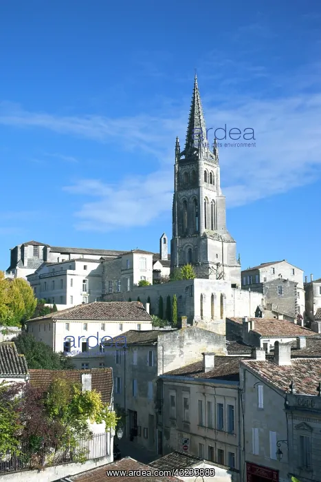 : France, Aquitaine Region, Gironde Department : France, Aquitaine Region, Gironde Department