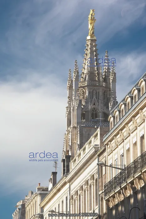 : France, Aquitaine Region, Gironde Department : France, Aquitaine Region, Gironde Department
