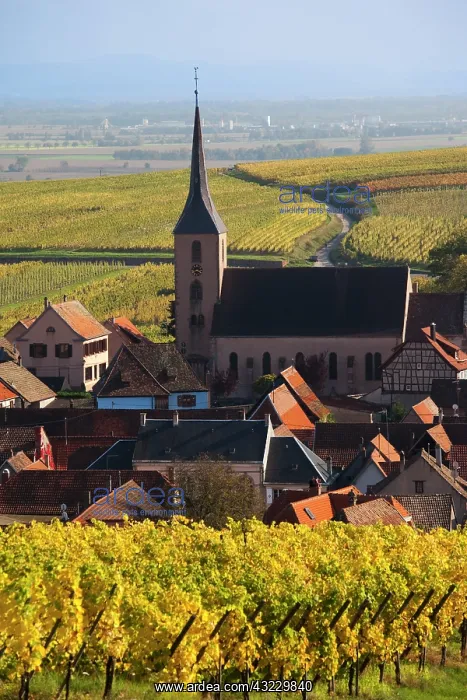  : France, Bas-Rhin, Alsace Region, Alsatian