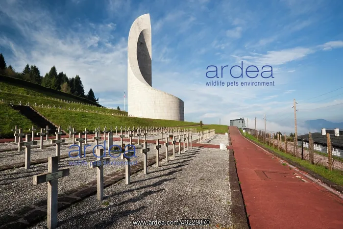 : France, Bas-Rhin, Alsace Region, Natzwiller : France, Bas-Rhin, Alsace Region, Natzwiller