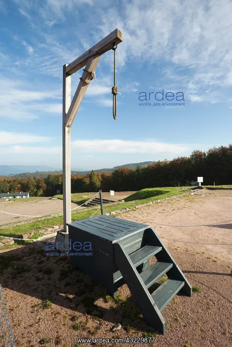 : France, Bas-Rhin, Alsace Region, Natzwiller : France, Bas-Rhin, Alsace Region, Natzwiller