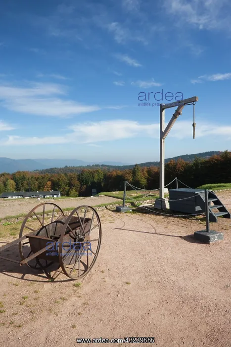  : France, Bas-Rhin, Alsace Region, Natzwiller