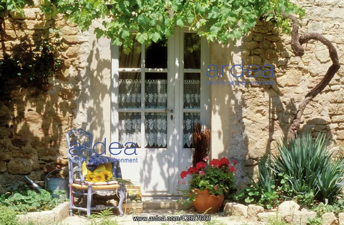 : FRANCE - Blue chair & vine & net-curtained white door : FRANCE - Blue chair & vine & net-curtained white door