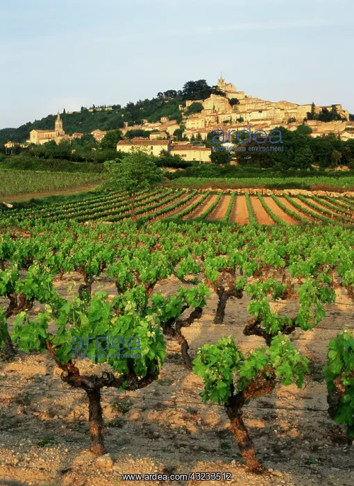 : France, Bonnieux, Vaucluse, Luberon, View : France, Bonnieux, Vaucluse, Luberon, View