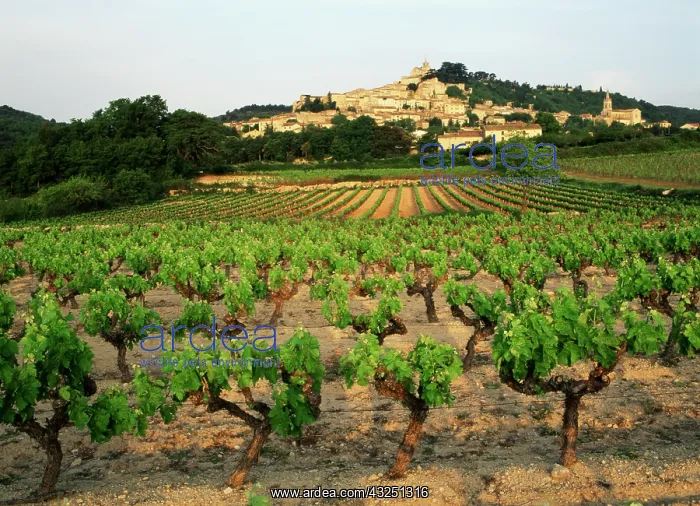: France, Bonnieux, Vaucluse, Luberon, View : France, Bonnieux, Vaucluse, Luberon, View