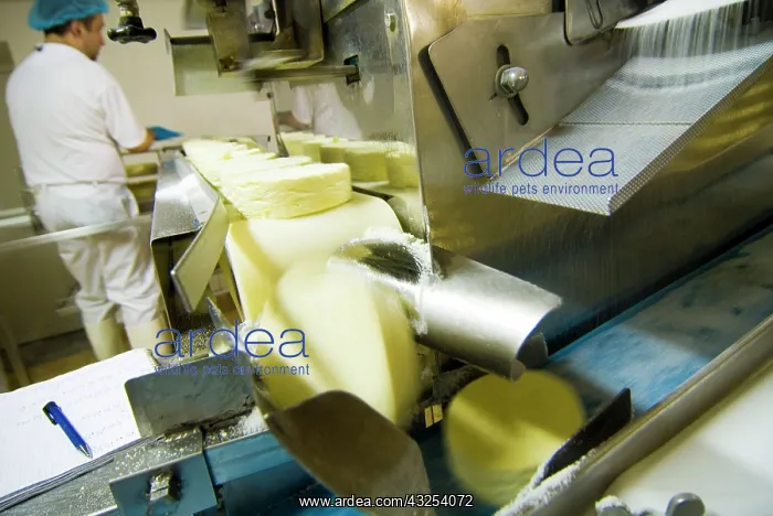 : France, Briouze, Gillot Dairy, production : France, Briouze, Gillot Dairy, production