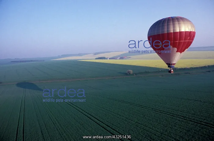 : France, Burgundy. Ballooning over fields : France, Burgundy. Ballooning over fields