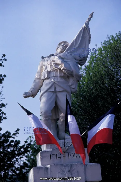 : France, Burgundy, Cry. World War One memorial : France, Burgundy, Cry. World War One memorial