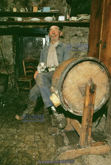 : FRANCE - Butter maker with his cat : FRANCE - Butter maker with his cat