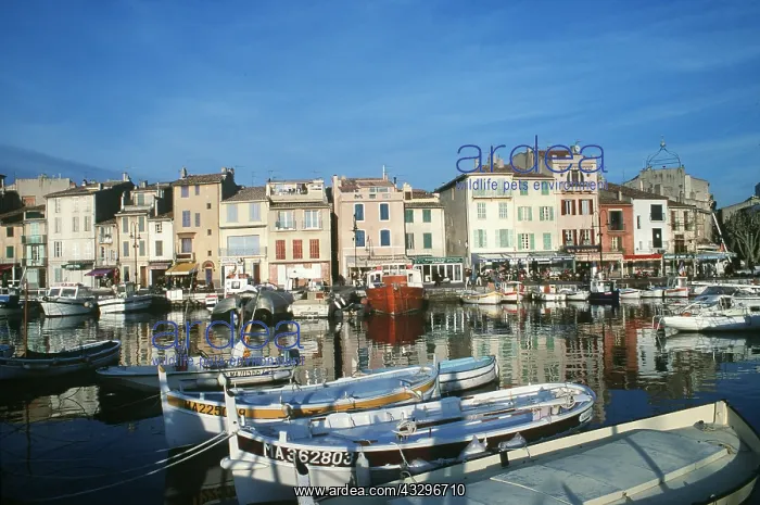 : FRANCE - Cassis harbour and fishing boats : FRANCE - Cassis harbour and fishing boats