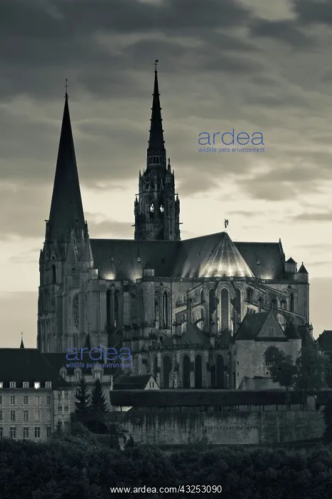 : France, Centre, Eure et Loir, Chartres : France, Centre, Eure et Loir, Chartres