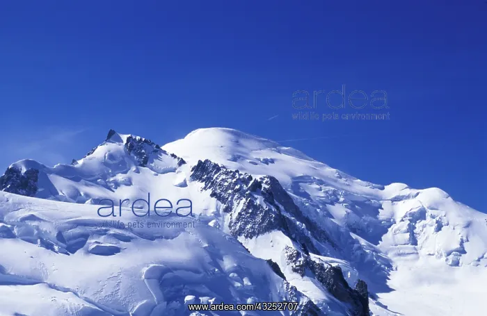 : France, Chamonix. Mt. Blanc as seen from : France, Chamonix. Mt. Blanc as seen from