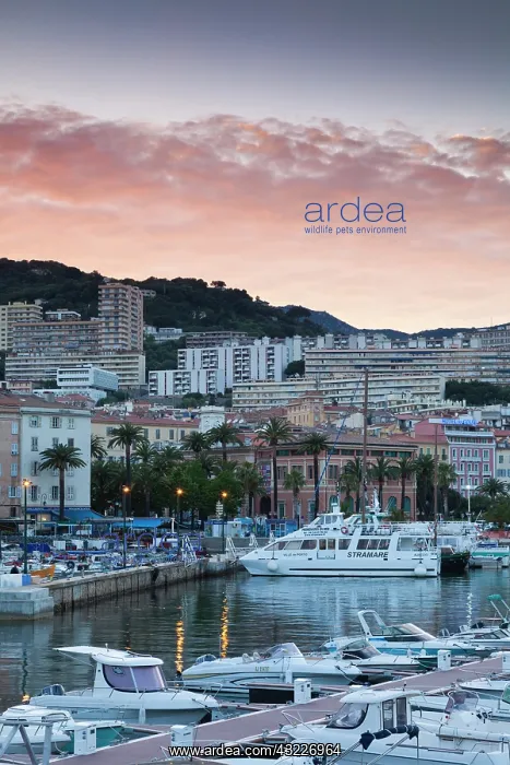 : France, Corsica, Ajaccio, city view from : France, Corsica, Ajaccio, city view from