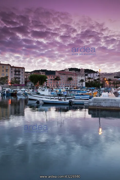 : France, Corsica, Ajaccio, city view from : France, Corsica, Ajaccio, city view from