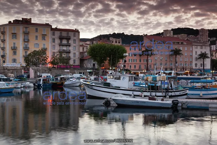 : France, Corsica, Ajaccio, city view from : France, Corsica, Ajaccio, city view from