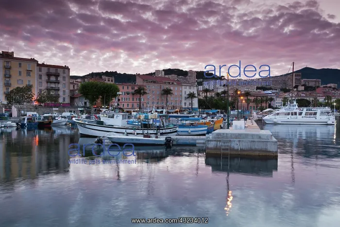 : France, Corsica, Ajaccio, city view from : France, Corsica, Ajaccio, city view from