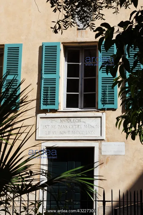 : France, Corsica, Ajaccio, Maison Bonaparte : France, Corsica, Ajaccio, Maison Bonaparte