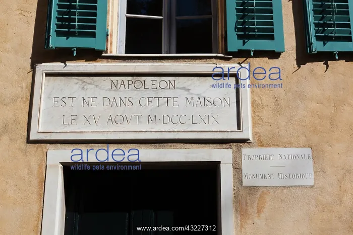 : France, Corsica, Ajaccio, Maison Bonaparte : France, Corsica, Ajaccio, Maison Bonaparte