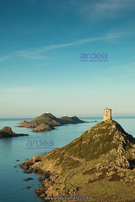 : France, Corsica, Ajaccio, Pointe de la Pirata : France, Corsica, Ajaccio, Pointe de la Pirata