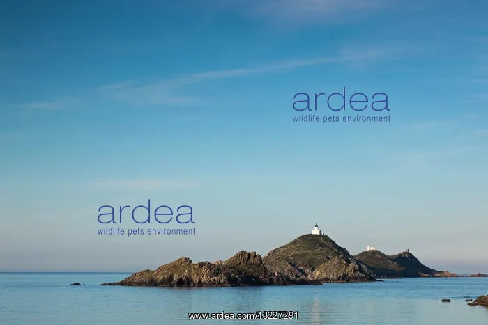 : France, Corsica, Ajaccio, Pointe de la Pirata : France, Corsica, Ajaccio, Pointe de la Pirata