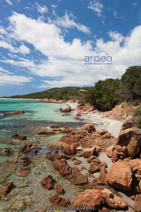 : France, Corsica, Baie de Rondinara bay : France, Corsica, Baie de Rondinara bay