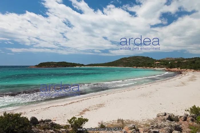 : France, Corsica, Baie de Rondinara bay : France, Corsica, Baie de Rondinara bay