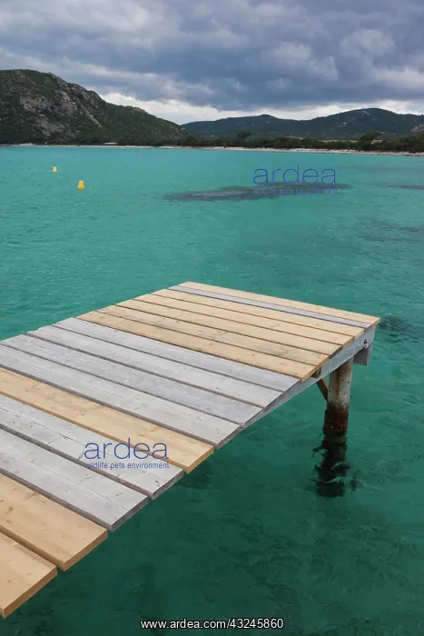  : France, Corsica, Baie de Rondinara bay