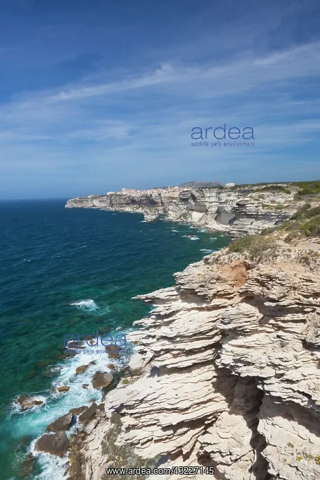 : France, Corsica, Bonifacio, Circuit des : France, Corsica, Bonifacio, Circuit des