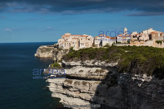 : France, Corsica, Bonifacio, Circuit des : France, Corsica, Bonifacio, Circuit des