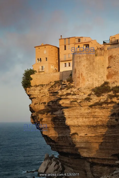 : France, Corsica, Bonifacio, cliffside houses : France, Corsica, Bonifacio, cliffside houses
