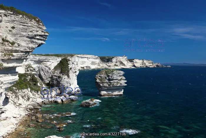 : France, Corsica, Bonifacio, elevated view : France, Corsica, Bonifacio, elevated view