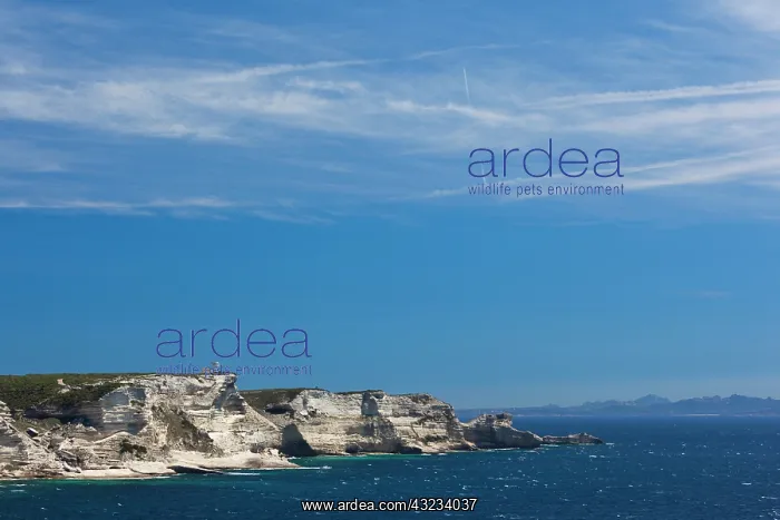 : France, Corsica, Bonifacio, elevated view : France, Corsica, Bonifacio, elevated view