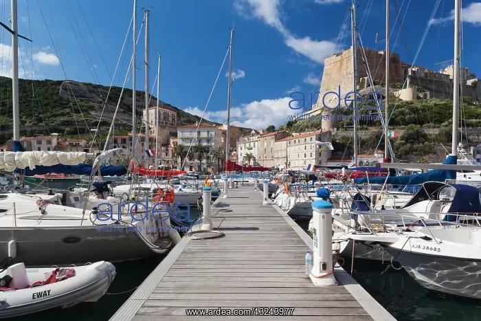 : France, Corsica, Bonifacio, port and Citadel : France, Corsica, Bonifacio, port and Citadel