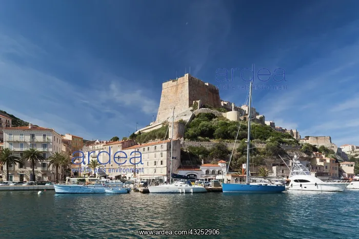 : France, Corsica, Bonifacio, port and Citadel : France, Corsica, Bonifacio, port and Citadel