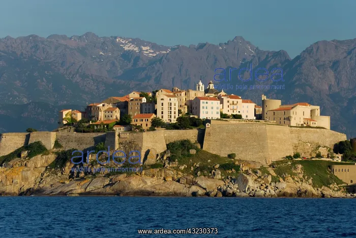 : France, Corsica. Buildings of the old city : France, Corsica. Buildings of the old city